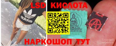 гидропоника Камышлов