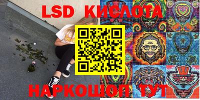стаф Кандалакша