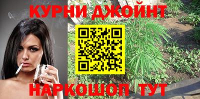 гидропоника Камышлов