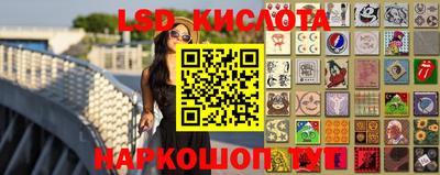 гидропоника Камышлов