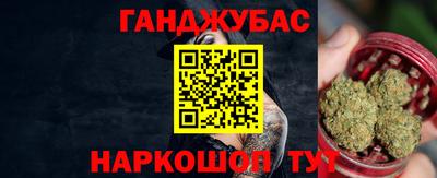 гидропоника Камышлов