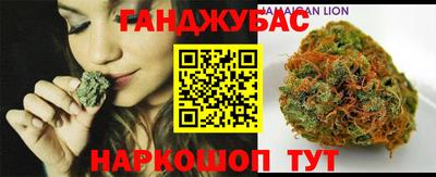 гидропоника Камышлов