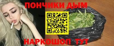 гидропоника Камышлов