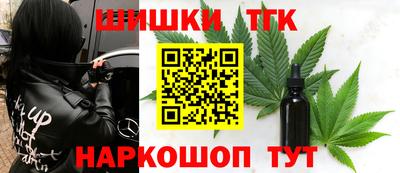 стаф Кандалакша