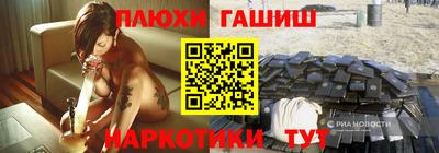 гидропоника Камышлов